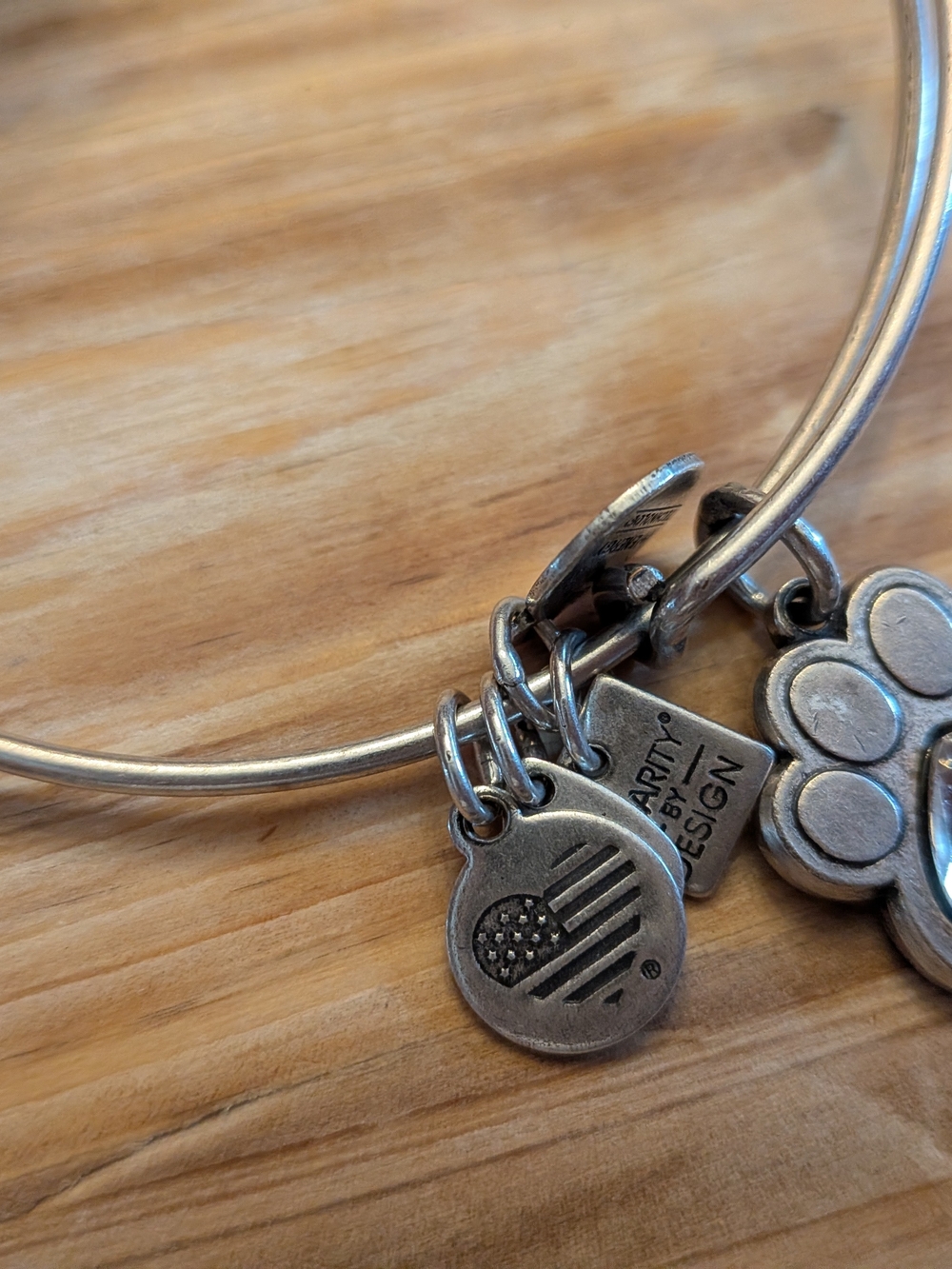 Alex and Ani Silver Tone Charm Bangle with Paw and Flag Heart Charm CHARITY RARE